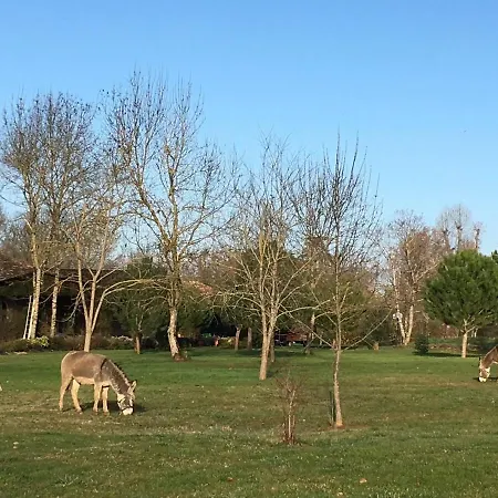 Ferme Familiale - La Soursol - Calme - Gaillac Rivières
