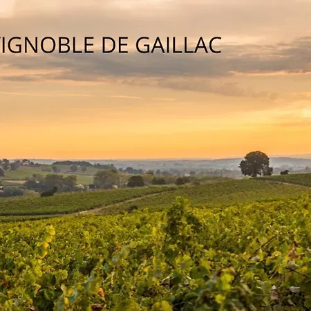 Ferme Familiale - La Soursol - Calme - Gaillac