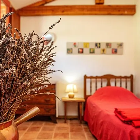 Ferme Familiale - La Soursol - Calme - Gaillac