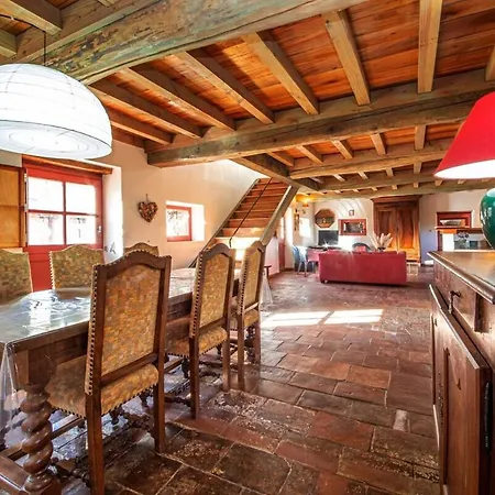 Ferme Familiale - La Soursol - Calme - Gaillac Feriegård Rivières